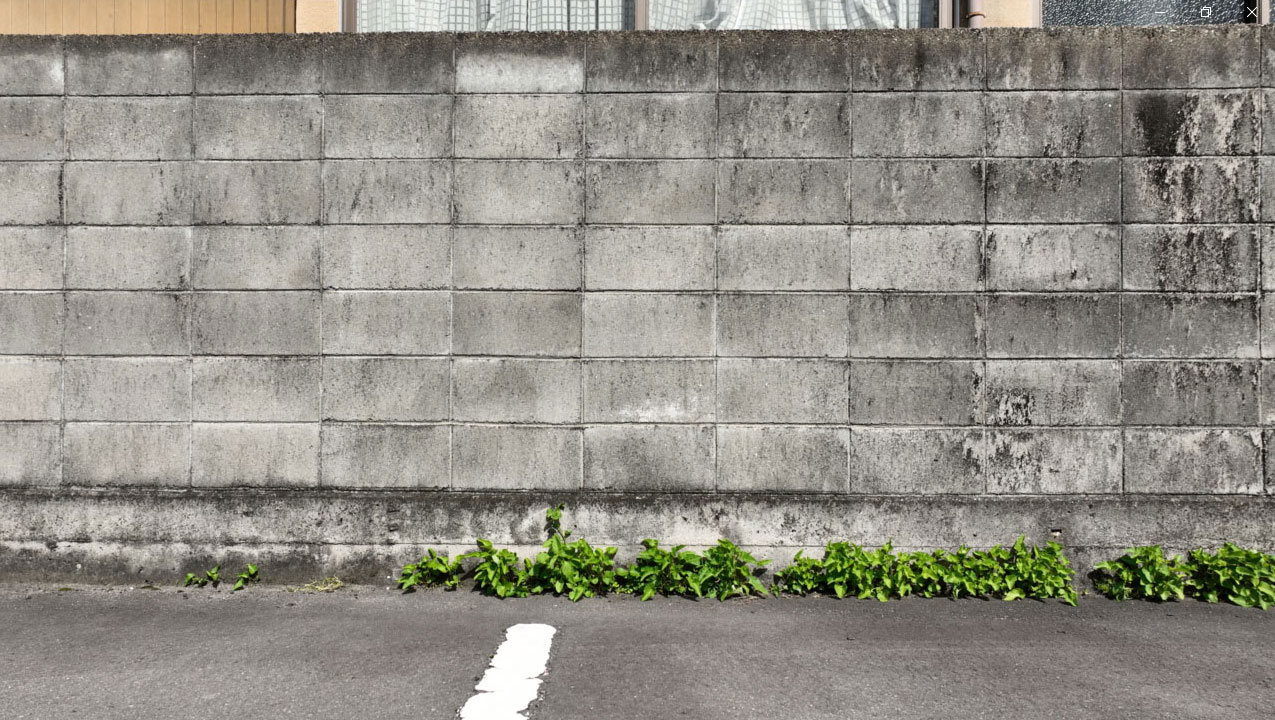 ドローン点検の風景②